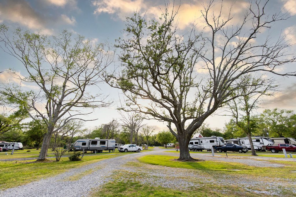Vinton RV Park at Delta Downs - Vinton, LA - Vinton RV Park - Photo 3